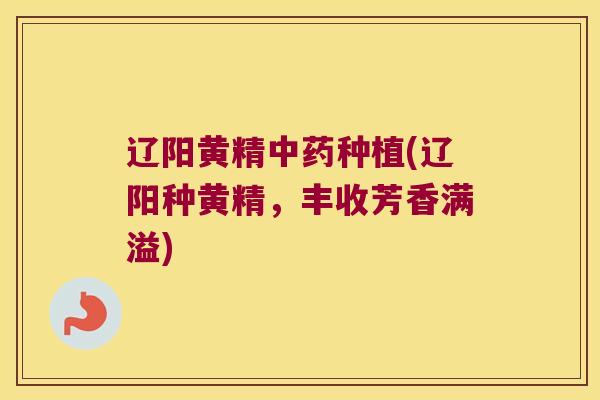 辽阳黄精种植(辽阳种黄精,丰收芳香满溢) 辽阳黄精种植(辽阳种黄精,丰收芳香满溢)