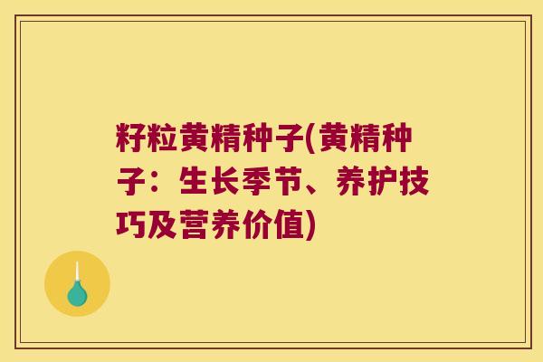 籽粒黄精种子(黄精种子：生长季节、养护技巧及营养价值)
