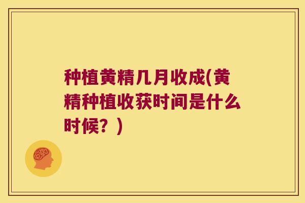 种植黄精几月收成(黄精种植收获时间是什么时候?) 种植黄精几月收成(黄精种植收获时间是什么时候?)