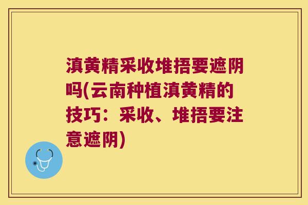 滇黄精采收堆捂要遮阴吗(云南种植滇黄精的技巧：采收、堆捂要注意遮阴)