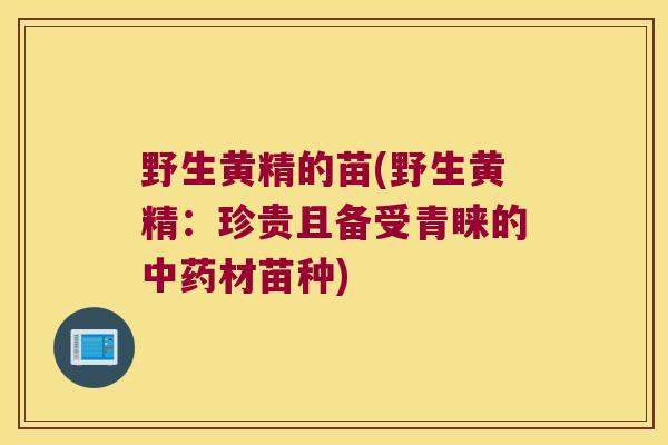 野生黄精的苗(野生黄精：珍贵且备受青睐的材苗种)