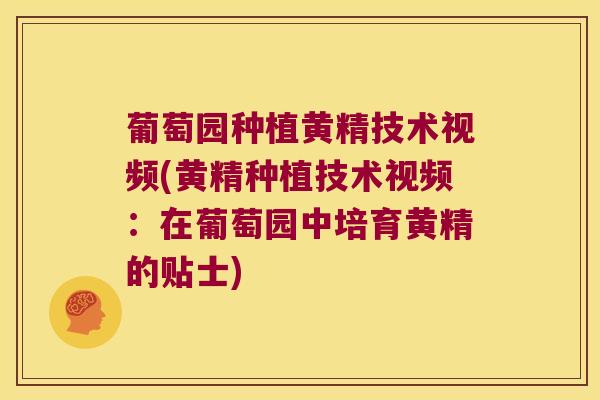 葡萄园种植黄精技术视频(黄精种植技术视频:在葡萄园中培育黄精的贴士) 葡萄园种植黄精技术视频(黄精种植技术视频:在葡萄园中培育黄精的贴士)