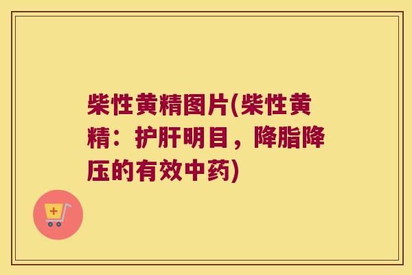 柴性黄精图片(柴性黄精:明目,的有效) 柴性黄精图片(柴性黄精:明目,的有效)
