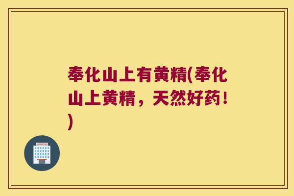 奉化山上有黄精(奉化山上黄精，天然好药！)