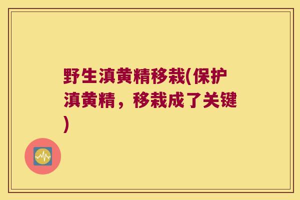 野生滇黄精移栽(保护滇黄精,移栽成了关键) 野生滇黄精移栽(保护滇黄精,移栽成了关键)