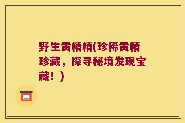 野生黄精精(珍稀黄精珍藏，探寻秘境发现宝藏！)
