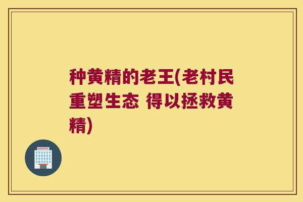 种黄精的老王(老村民重塑生态 得以拯救黄精) 种黄精的老王(老村民重塑生态 得以拯救黄精)