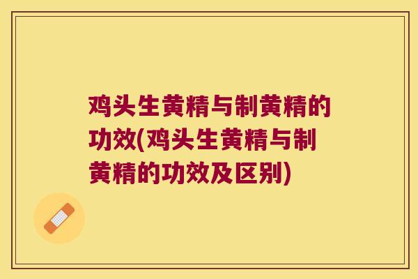 鸡头生黄精与制黄精的功效(鸡头生黄精与制黄精的功效及区别)