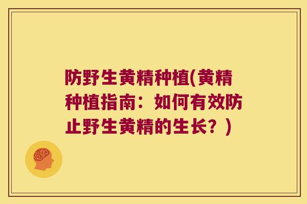 防野生黄精种植(黄精种植指南：如何有效防止野生黄精的生长？)