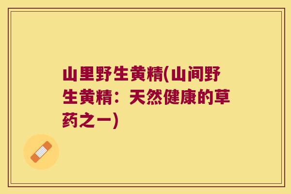 山里野生黄精(山间野生黄精:天然健康的草药之一) 山里野生黄精(山间野生黄精:天然健康的草药之一)