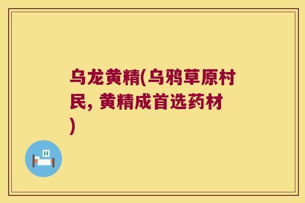 乌龙黄精(乌鸦草原村民, 黄精成首选药材) 乌龙黄精(乌鸦草原村民, 黄精成首选药材)
