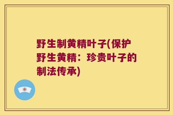 野生制黄精叶子(保护野生黄精:珍贵叶子的制法传承) 野生制黄精叶子(保护野生黄精:珍贵叶子的制法传承)