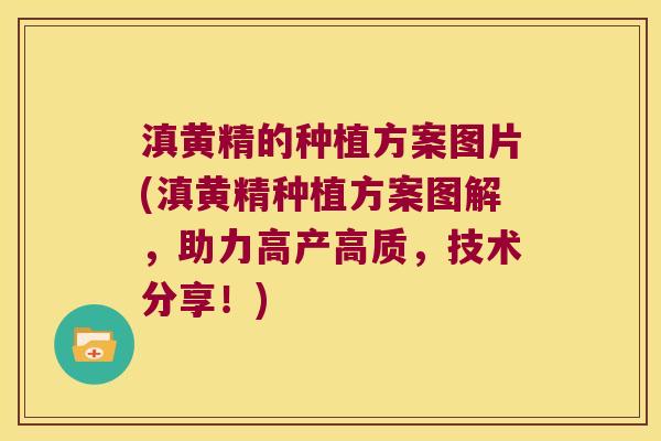 滇黄精的种植方案图片(滇黄精种植方案图解，助力高产高质，技术分享！)