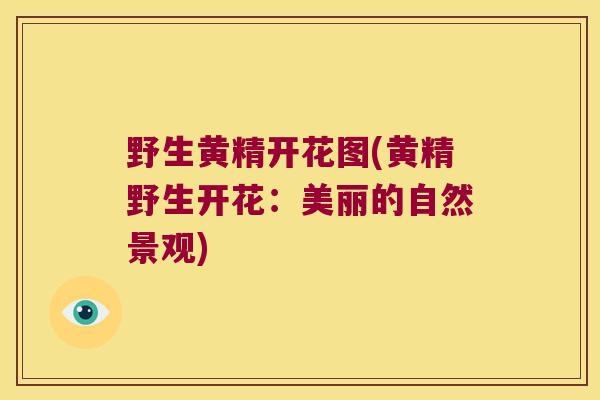 野生黄精开花图(黄精野生开花：美丽的自然景观)