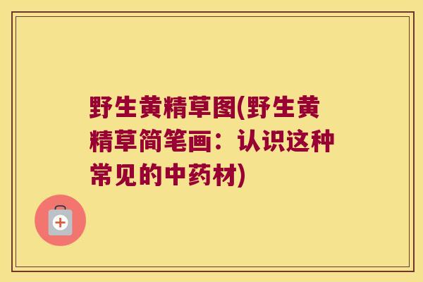 野生黄精草图(野生黄精草简笔画：认识这种常见的材)