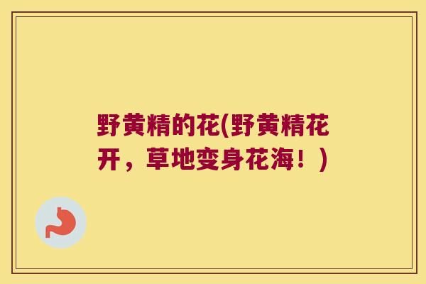 野黄精的花(野黄精花开，草地变身花海！)
