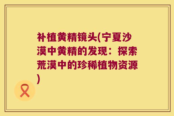 补植黄精镜头(宁夏沙漠中黄精的发现:探索荒漠中的珍稀植物资源) 补植黄精镜头(宁夏沙漠中黄精的发现:探索荒漠中的珍稀植物资源)