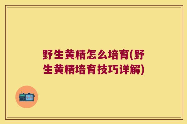 野生黄精怎么培育(野生黄精培育技巧详解) 野生黄精怎么培育(野生黄精培育技巧详解)