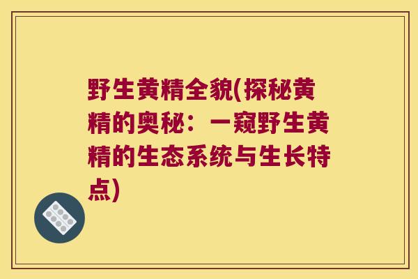 野生黄精全貌(探秘黄精的奥秘:一窥野生黄精的生态系统与生长特点) 野生黄精全貌(探秘黄精的奥秘:一窥野生黄精的生态系统与生长特点)