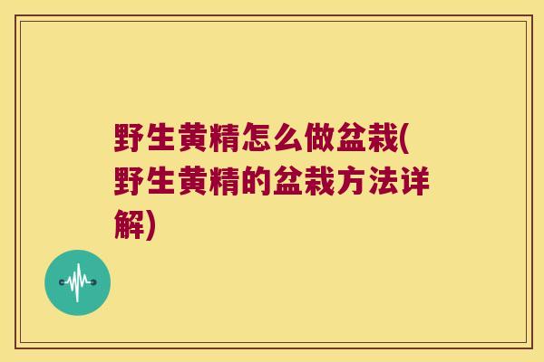 野生黄精怎么做盆栽(野生黄精的盆栽方法详解) 野生黄精怎么做盆栽(野生黄精的盆栽方法详解)