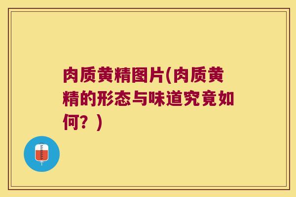 肉质黄精图片(肉质黄精的形态与味道究竟如何？)