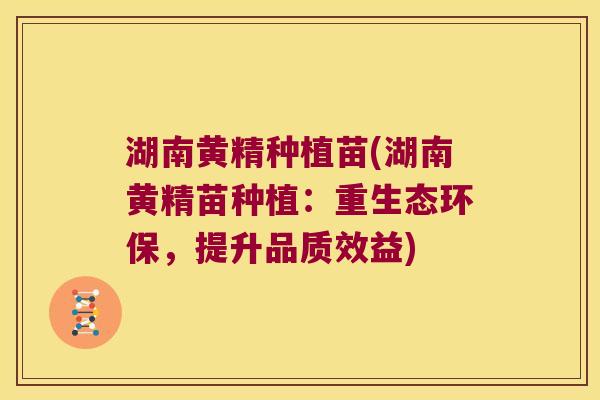 湖南黄精种植苗(湖南黄精苗种植：重生态环保，提升品质效益)
