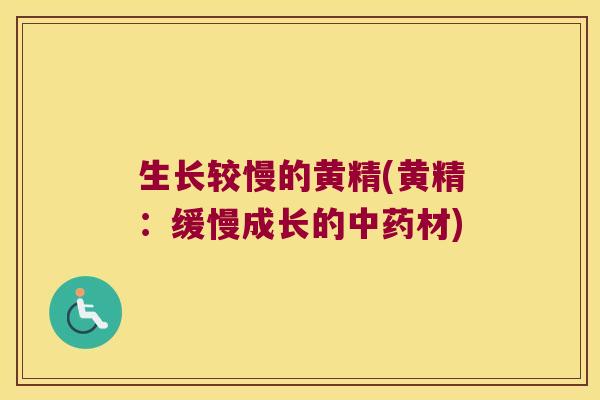 生长较慢的黄精(黄精:缓慢成长的材) 生长较慢的黄精(黄精:缓慢成长的材)