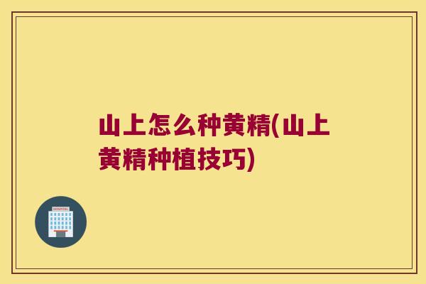 山上怎么种黄精(山上黄精种植技巧) 山上怎么种黄精(山上黄精种植技巧)