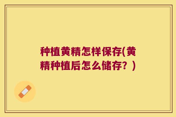 种植黄精怎样保存(黄精种植后怎么储存?) 种植黄精怎样保存(黄精种植后怎么储存?)
