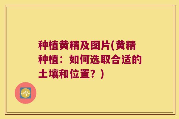 种植黄精及图片(黄精种植：如何选取合适的土壤和位置？)