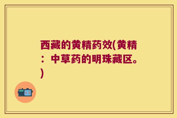 西藏的黄精(黄精:中草药的明珠藏区。) 西藏的黄精(黄精:中草药的明珠藏区。)