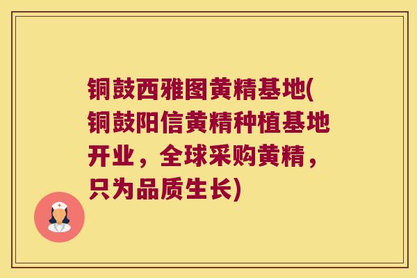 铜鼓西雅图黄精基地(铜鼓阳信黄精种植基地开业，全球采购黄精，只为品质生长)
