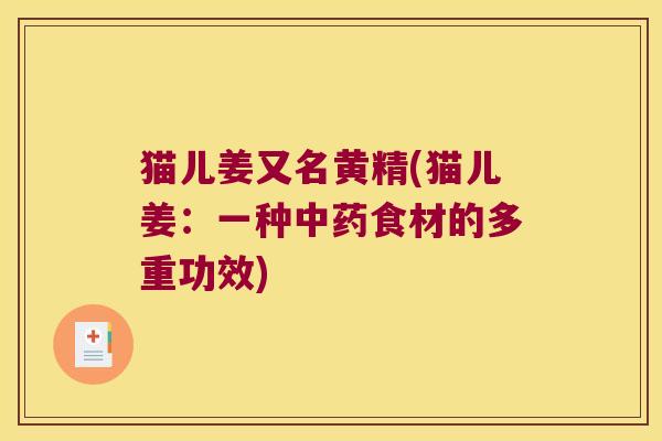 猫儿姜又名黄精(猫儿姜：一种食材的多重功效)