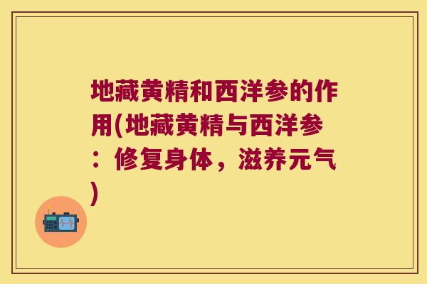 地藏黄精和西洋参的作用(地藏黄精与西洋参:修复身体,滋养元气) 地藏黄精和西洋参的作用(地藏黄精与西洋参:修复身体,滋养元气)