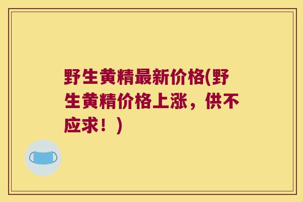 野生黄精新价格(野生黄精价格上涨，供不应求！)