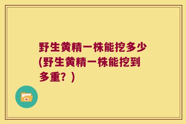 野生黄精一株能挖多少(野生黄精一株能挖到多重?) 野生黄精一株能挖多少(野生黄精一株能挖到多重?)
