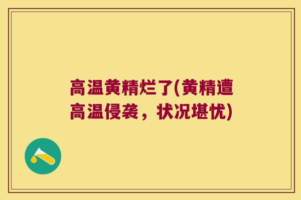 高温黄精烂了(黄精遭高温侵袭，状况堪忧)