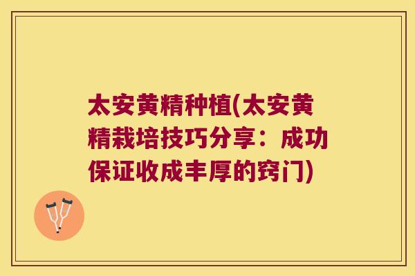 太安黄精种植(太安黄精栽培技巧分享:成功保证收成丰厚的窍门) 太安黄精种植(太安黄精栽培技巧分享:成功保证收成丰厚的窍门)