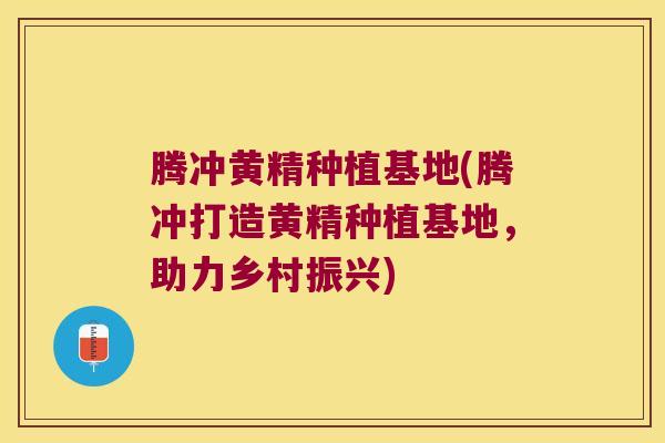 腾冲黄精种植基地(腾冲打造黄精种植基地,助力乡村振兴) 腾冲黄精种植基地(腾冲打造黄精种植基地,助力乡村振兴)