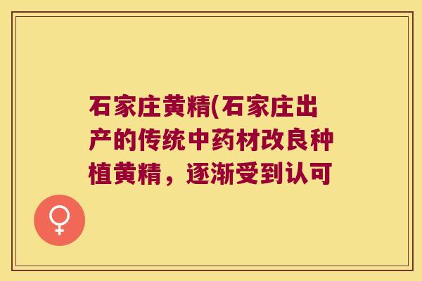 石家庄黄精(石家庄出产的传统材改良种植黄精，逐渐受到认可