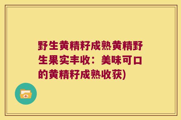 野生黄精籽成熟黄精野生果实丰收:美味可口的黄精籽成熟收获) 野生黄精籽成熟黄精野生果实丰收:美味可口的黄精籽成熟收获)