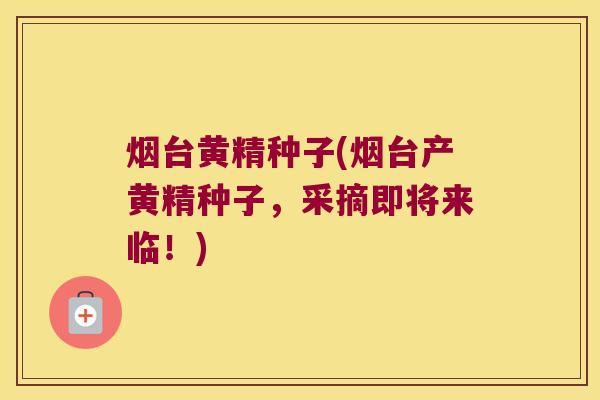 烟台黄精种子(烟台产黄精种子，采摘即将来临！)