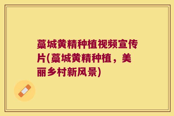 藁城黄精种植视频宣传片(藁城黄精种植，美丽乡村新风景)