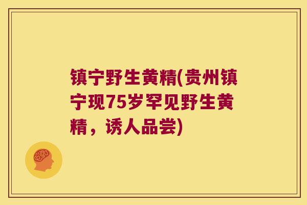 镇宁野生黄精(贵州镇宁现75岁罕见野生黄精，诱人品尝)