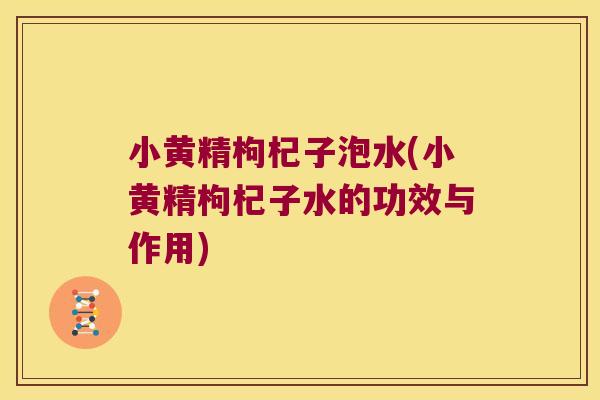 小黄精枸杞子泡水(小黄精枸杞子水的功效与作用)