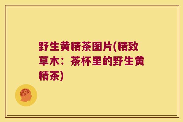 野生黄精茶图片(精致草木：茶杯里的野生黄精茶)