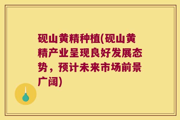砚山黄精种植(砚山黄精产业呈现良好发展态势,预计未来市场前景广阔) 砚山黄精种植(砚山黄精产业呈现良好发展态势,预计未来市场前景广阔)