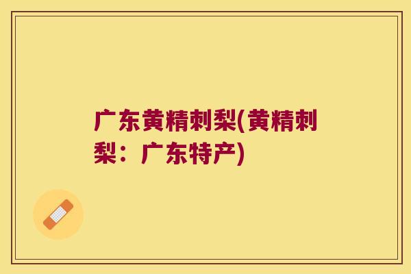广东黄精刺梨(黄精刺梨：广东特产)
