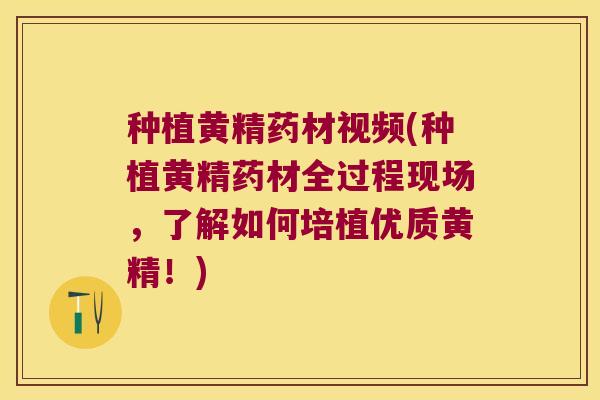 种植黄精药材视频(种植黄精药材全过程现场,了解如何培植优质黄精!) 种植黄精药材视频(种植黄精药材全过程现场,了解如何培植优质黄精!)