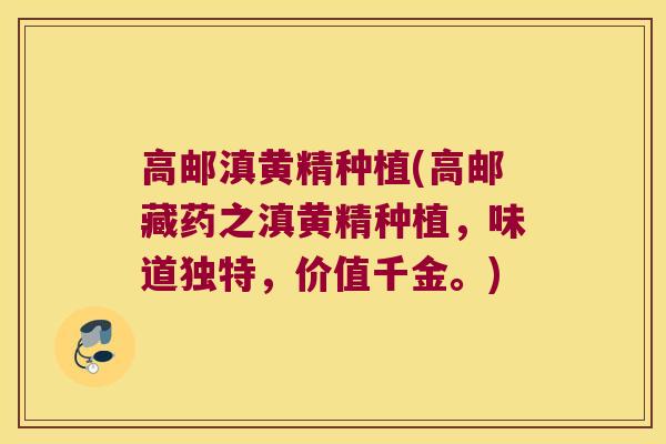 高邮滇黄精种植(高邮藏药之滇黄精种植，味道独特，价值千金。)